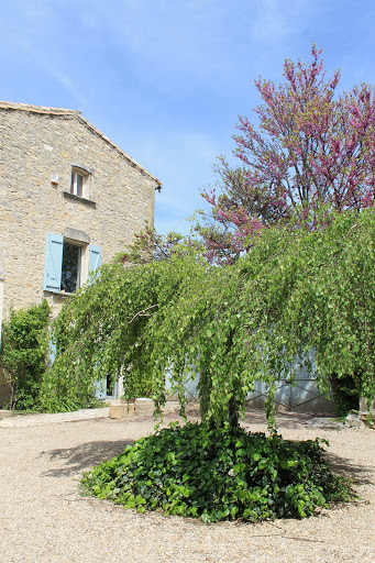 Photo de Chambre d'Hotes la Rose à Saint-Gervasy (30320)