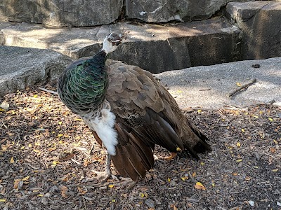 Milwaukee County Zoo