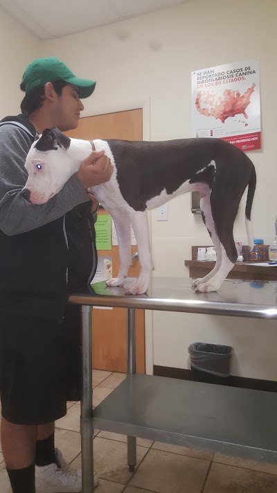 Photos of West Michigan Street Veterinary Clinic