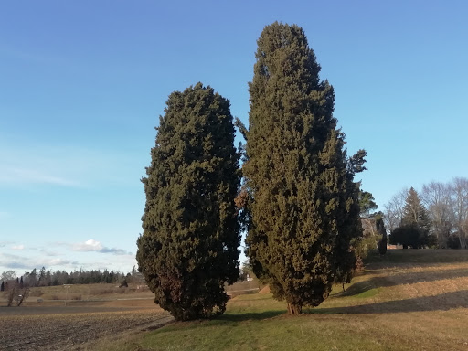 BRAZZACCO Str.dei Colli (incr.via del Gruagno, dir. Alnicco)