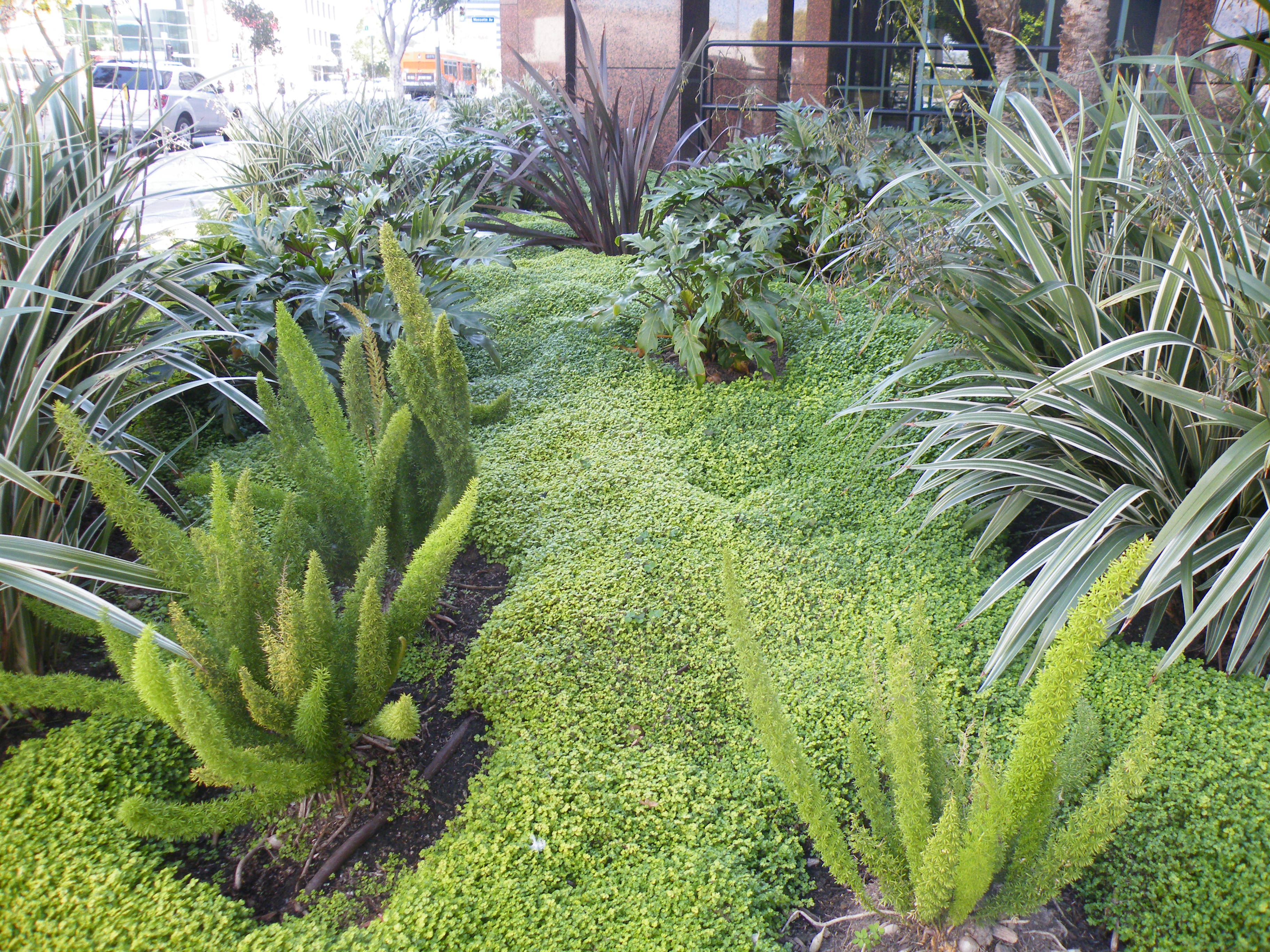 Area Indoor Planting Co.
