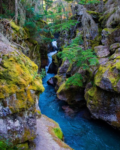 Trail of the Cedars Nature Trail