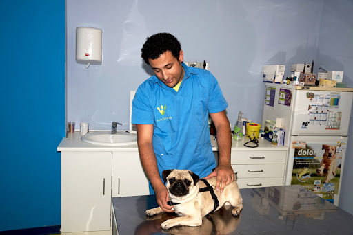 Clínica veterinaria Wecan Salamanca