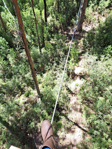 Aerial Adventure Pemberton - Thumbnail