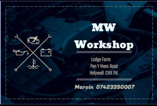 MW Workshop - Visual