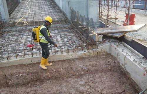 Top Pest Control Company in Kolkata – Safe & Affordable Services post image