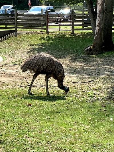 Farmland Animal Park