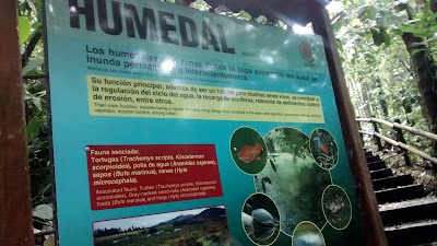 Photos of Universidad Tecnol&oacute;gica de Pereira Botanical Garden
