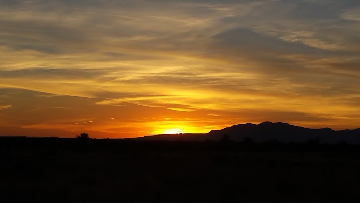 Hooper - Image 4