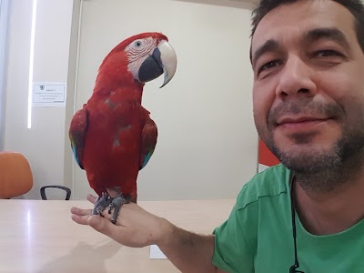 Photos of The Lightning Veterinary Clinic