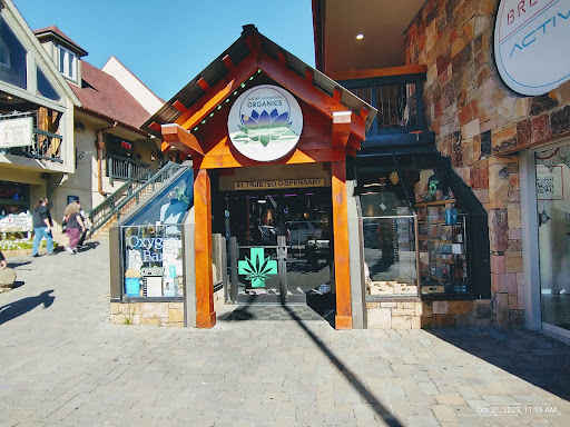 Baked Dispensary + Oxygen Bar - Thumbnail