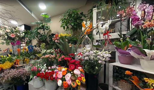 I Fiori Di Francesca - Thumbnail