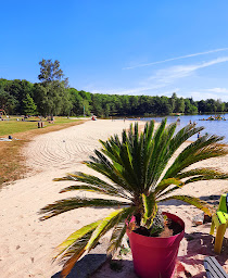 Photo n°58 de Camping Montard à Lamongerie (Terrain de camping)