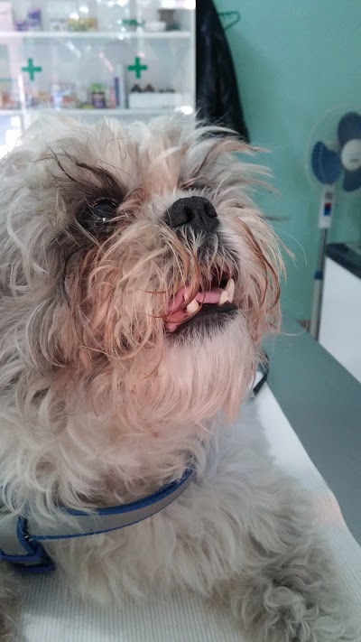 Photos of Mobil Veterinary Albania