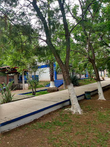 National Pedagogical University, Unit 162 Zamora - Thumbnail