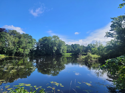 Kupferteich - Visual