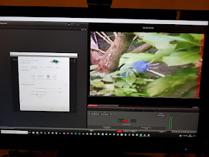 Photo n°20 de A.I.M Assistance Informatique & Multimedia à Vallery (Assistance et services informatiques)