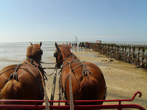 Ferme équestre La Bredaine - Thumbnail