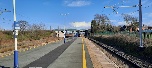 Salwick - Visual