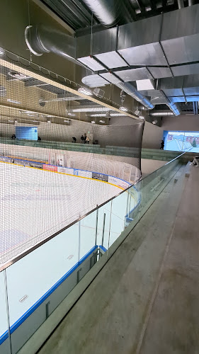 HC Eisbären St. Gallen