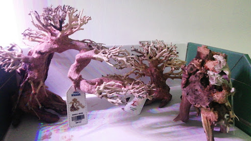Acquaristore.it - Visual