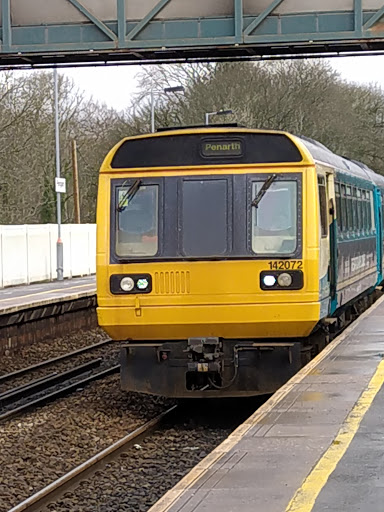 Pengam - Visual