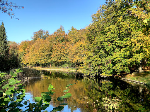 Stadtpark Blumenwall - Thumbnail