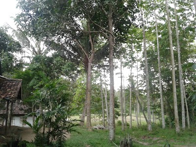 Photos of Cikoak Village