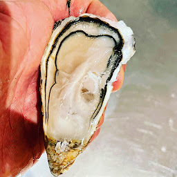 Photo n°5 de Chef à domicile Matthieu Lemoine à Deauville (Cuisine française moderne)