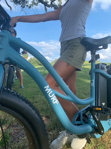 Ted's E-Bikes - Visual