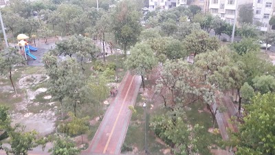Photos of Mohammadi Park