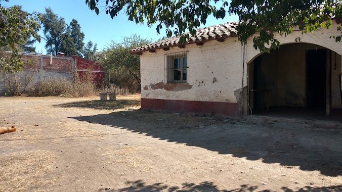 ADRIANO SAN LUIS PANADERIA Y HELADERIA, Author: Gabriel Simpson