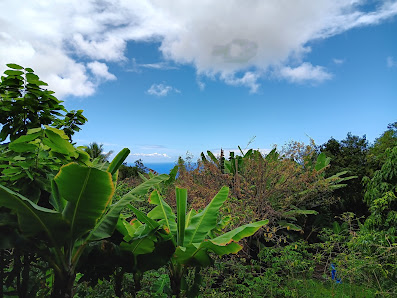 Kula Mana Farms 83-5531 Mamalahoa Hwy, Captain Cook, HI 96704, United States