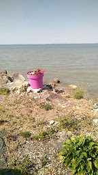 Photo n°45 de Bénard Et Fils dégustation huitres à Fouras (Restaurant de fruits de mer)