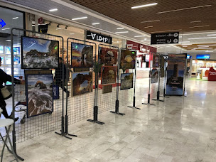 Photo n°47 de Centre commercial Carrefour Quimper à Quimper (Boutique de cigarettes électroniques)