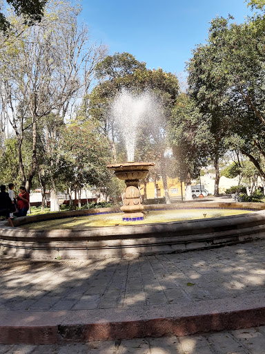 Principal San Luis de la Paz, Gto. Garden - Thumbnail