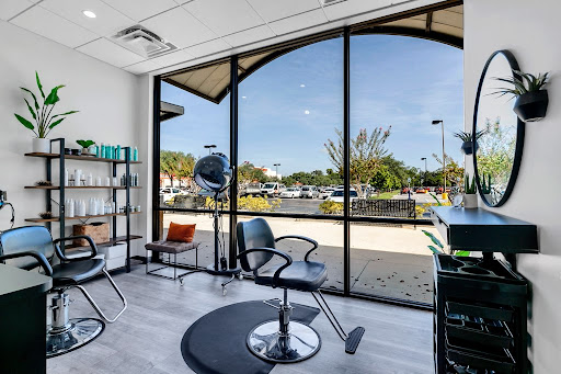 Wild Texture Salon - Visual
