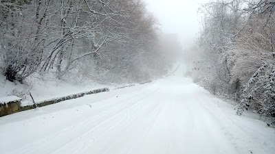 Photos of Манастир "Свети Спас"