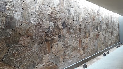 Photos of Palmyra Palm