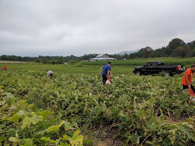 The Farm At Sunnyside