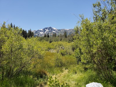 Taylor Creek Visitor Center