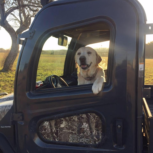 G.M's Car Wash Gallery - United States