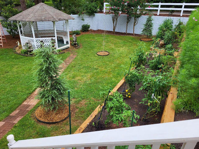 Dahlonega Inn On Main by null