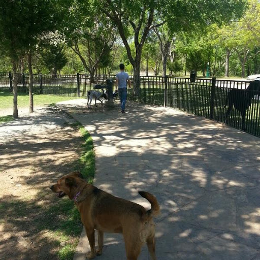 Wagging Tail Dog Park - Thumbnail