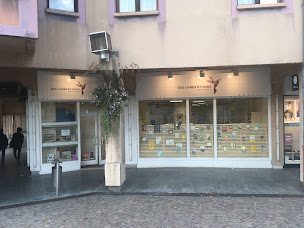 Photo n°9 de Librairie Des Livres et Vous - Maurienne à Saint-Jean-de-Maurienne (Magasin de jeux de cartes/jeux de plateaux)
