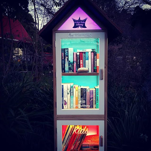Te Henui Little Free Library - Thumbnail