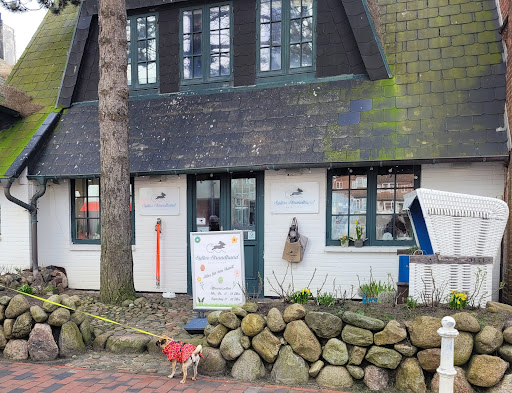 Sylter Strandhund Gallery - Germany
