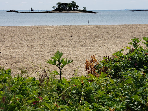 Shady Beach Park - Thumbnail