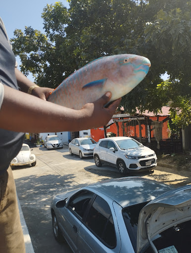 Marisqueria copala