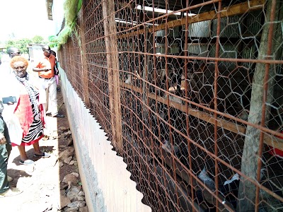 Photos of Natare Gardens